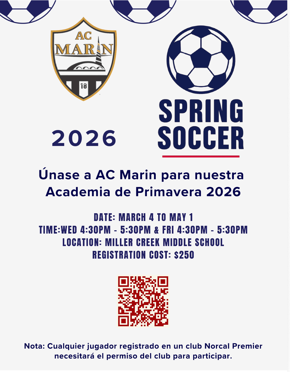 Screenshot 2026-02-19 at 11.22.36 AM